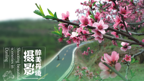 丹棱縣旅游形象宣傳畫冊(cè)設(shè)計(jì)