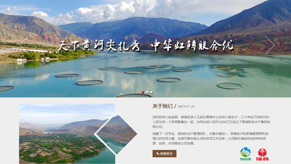 青海聯(lián)合水產(chǎn)集團有限公司官網(wǎng)設計