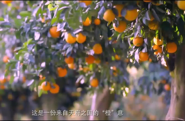 公司的宣傳片怎么寫腳本？企業(yè)宣傳片腳本的寫作思路