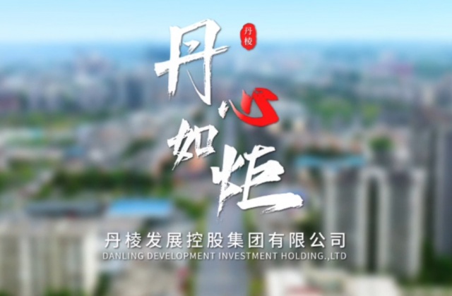 丹棱發(fā)展控股集團